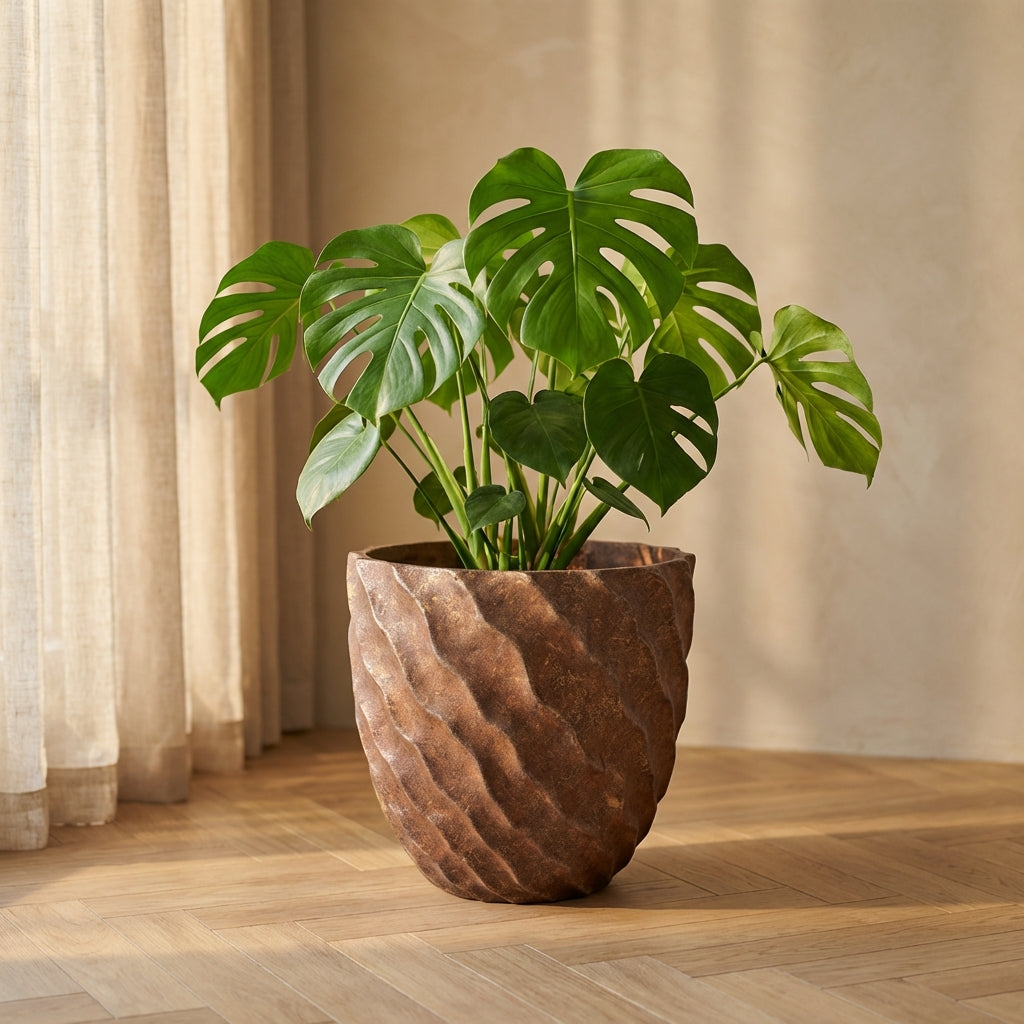 Sharlae Pot en ciment - Marron