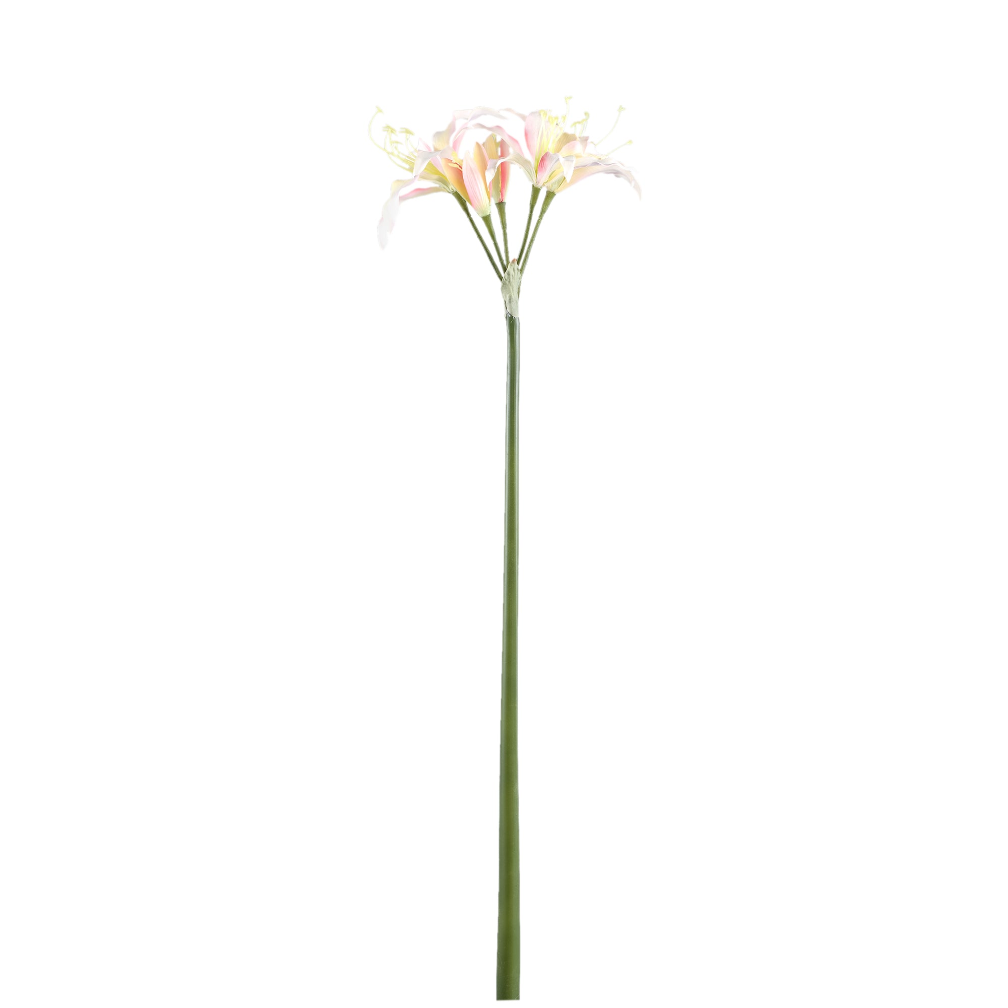 Amaryllis Flower cream amaryllis spray Crème — Fleur artificielle — Fleur artificielle design premium | Häus