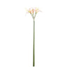 Amaryllis Flower cream amaryllis spray Crème — Fleur artificielle — Fleur artificielle design premium | Häus