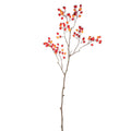 Branche artificielle Baie — Orange