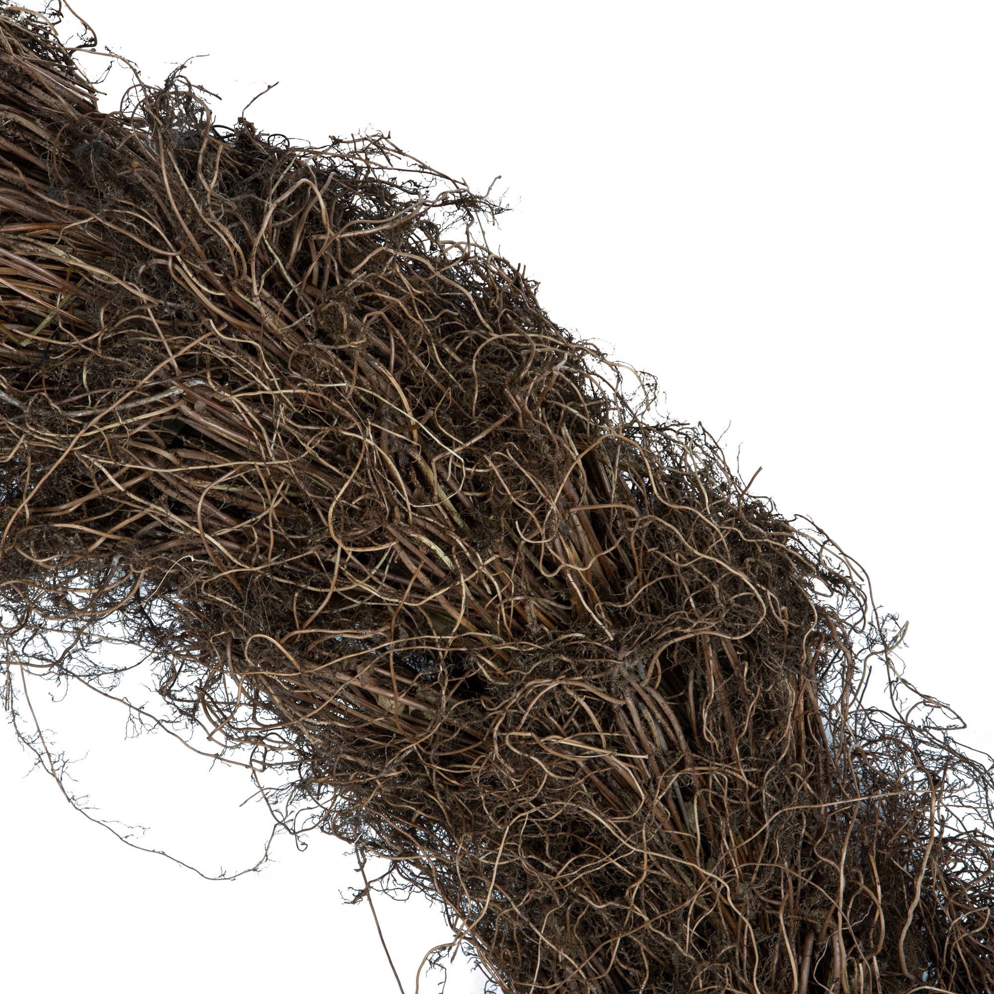 Wreath Reed brown root XL
