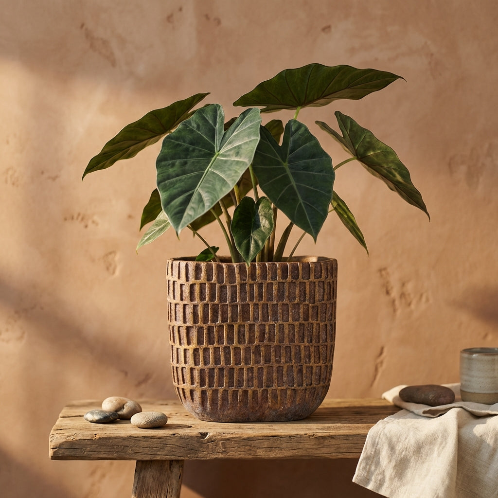 Vivienne Pot en ciment