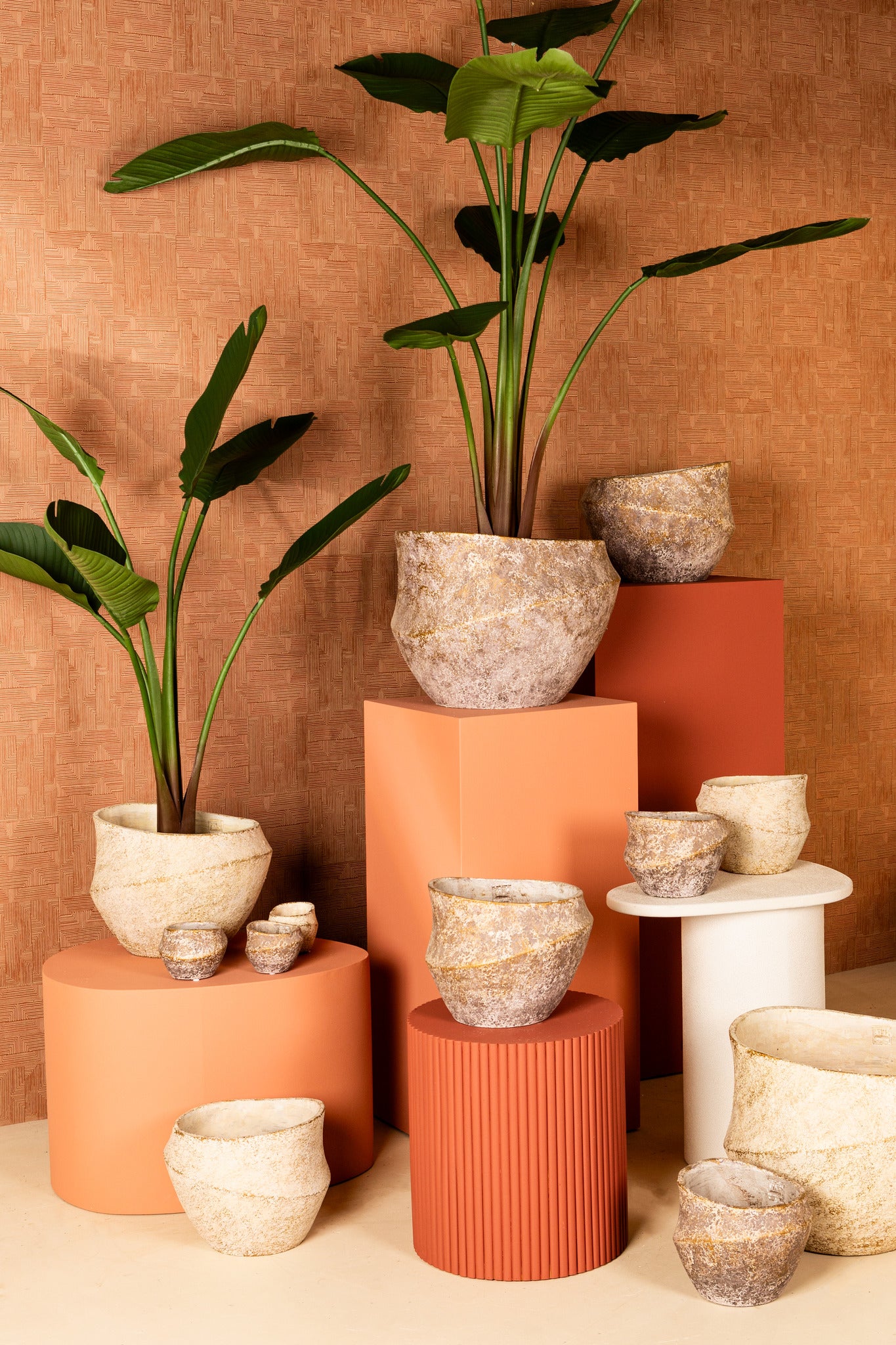 Rishell Pot en ciment - Bronze, Cream