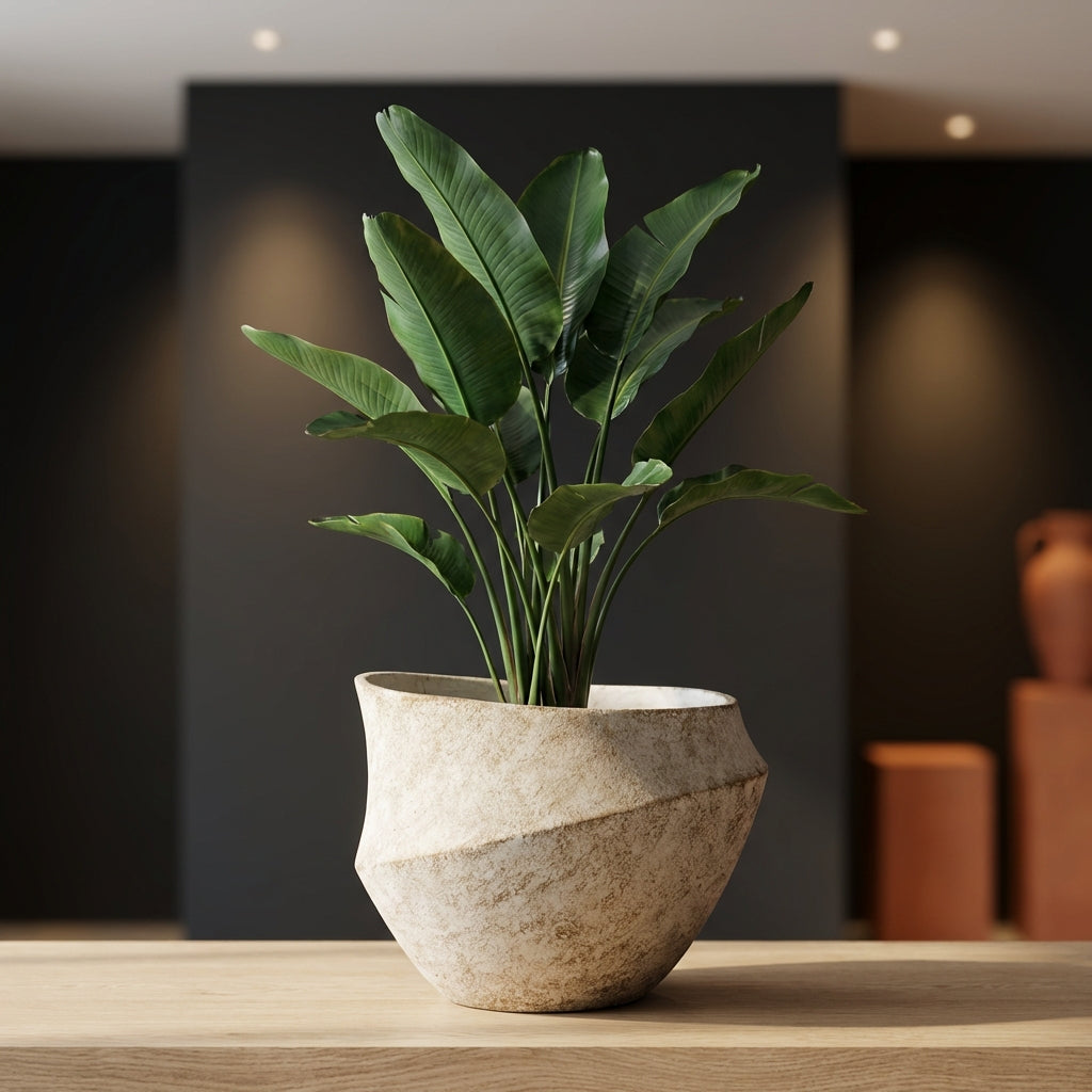 Rishell Pot en ciment - Crème