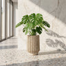 Zariya Pot en ciment