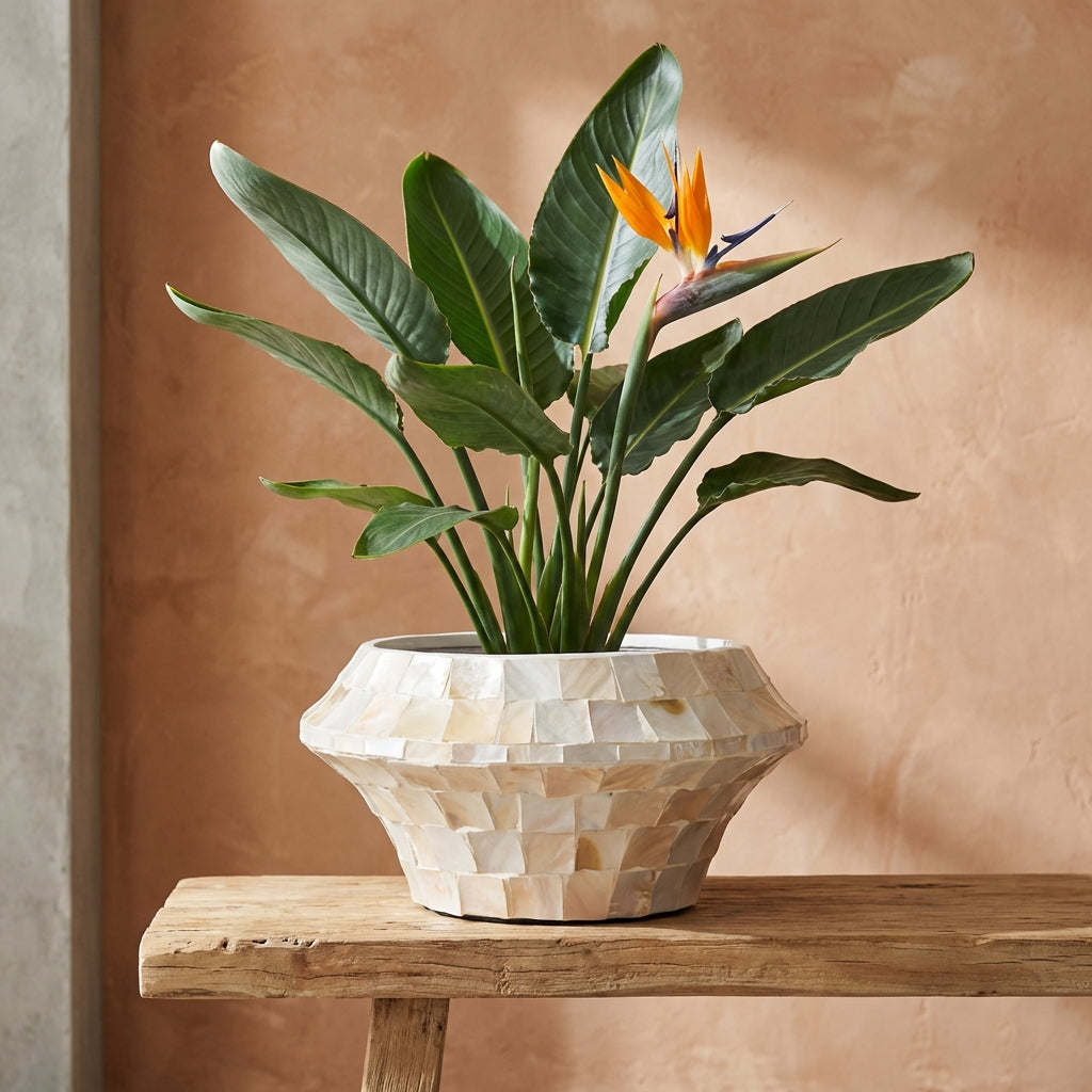Daven Pot en bamboo - Crème