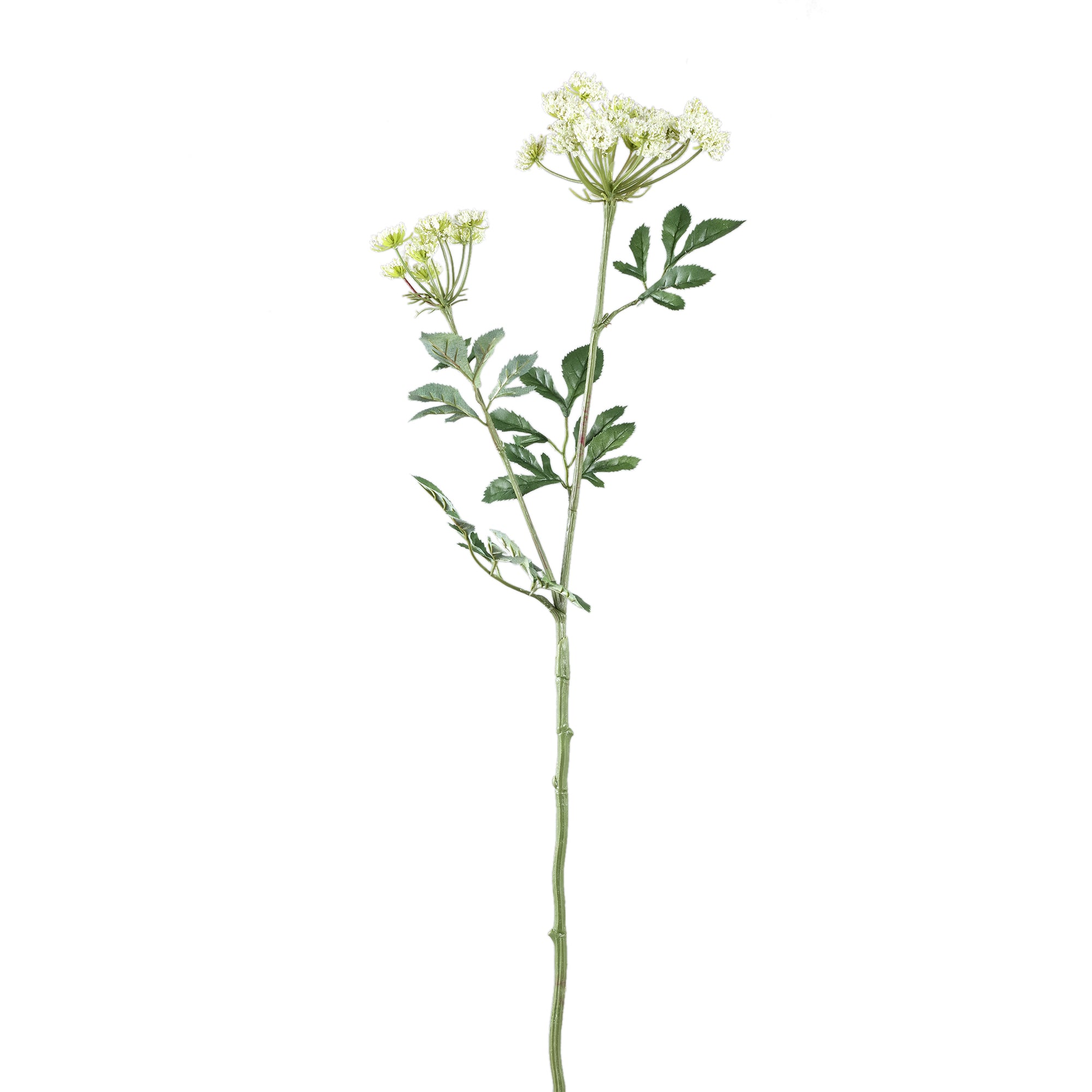 Garden Flower White ammi green mist spray Blanc — Fleur artificielle — Fleur artificielle design premium | Häus