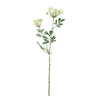 Garden Flower White ammi green mist spray Blanc — Fleur artificielle — Fleur artificielle design premium | Häus