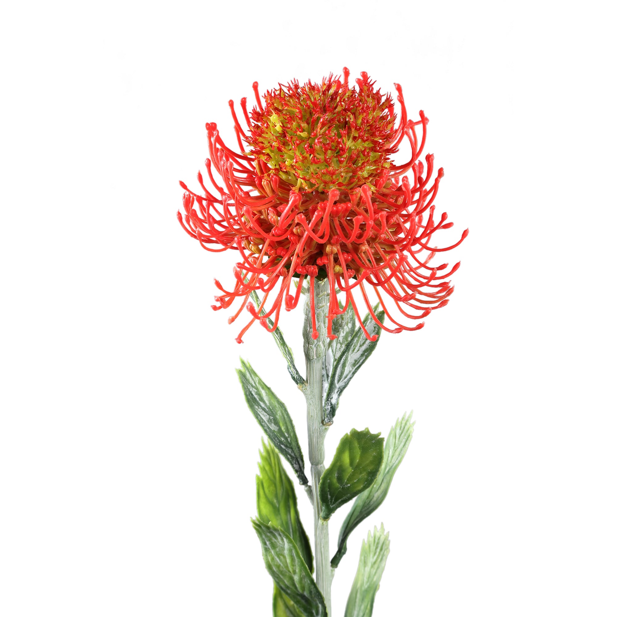 Twig Plant Red protea spray with leaves Rouge — Fleur artificielle — vue 2 | Häus