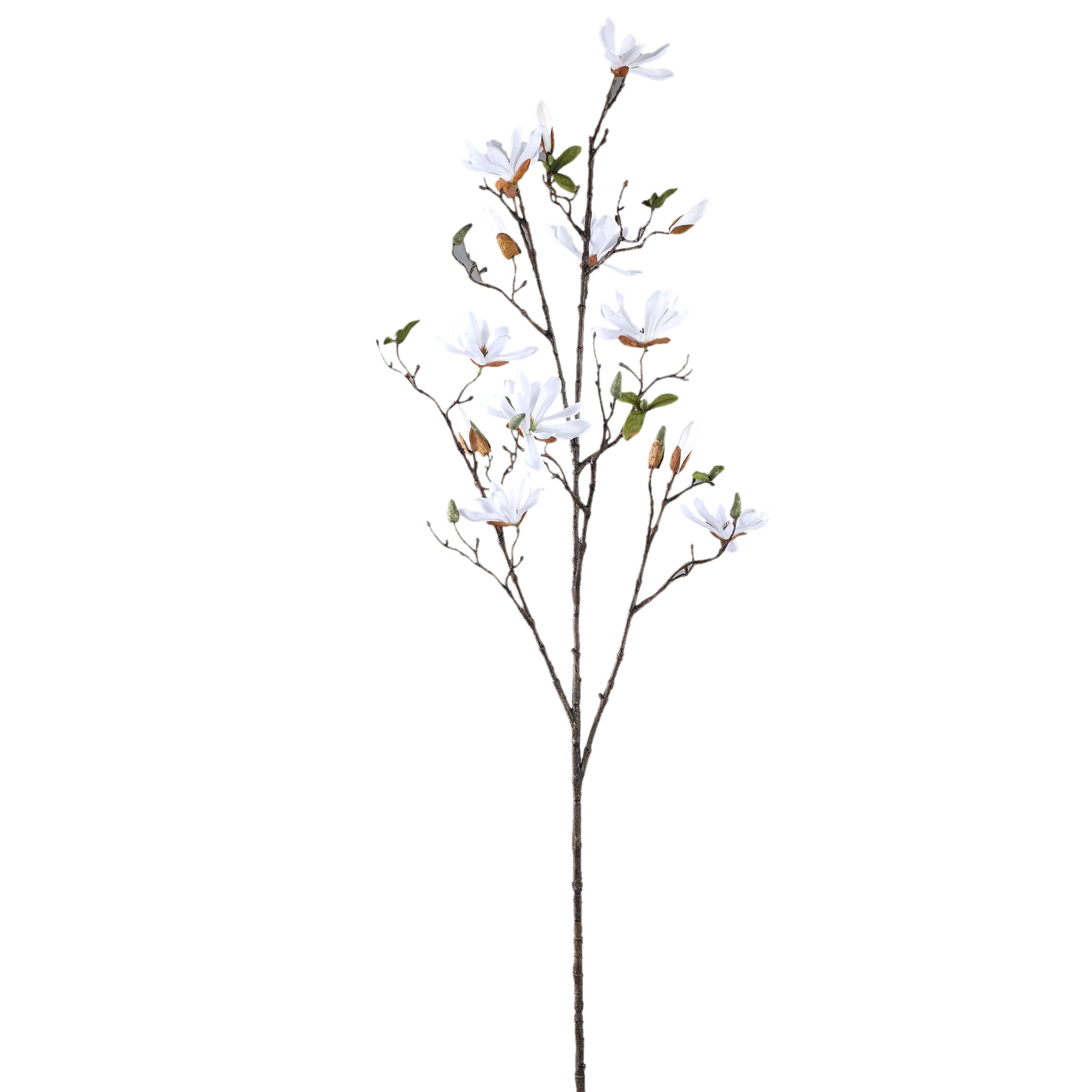 Magnolia Flower White spray with buds Blanc — Fleur artificielle — Fleur artificielle design premium | Häus