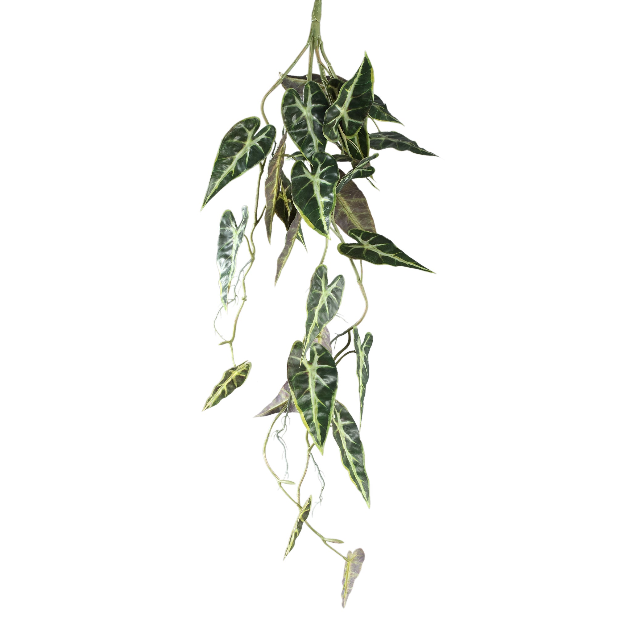 Leaves Plant Green begonia leaf hanging bush Vert — Feuille artificielle — Feuille artificielle design premium | Häus