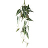 Leaves Plant Green begonia leaf hanging bush Vert — Feuille artificielle — Feuille artificielle design premium | Häus