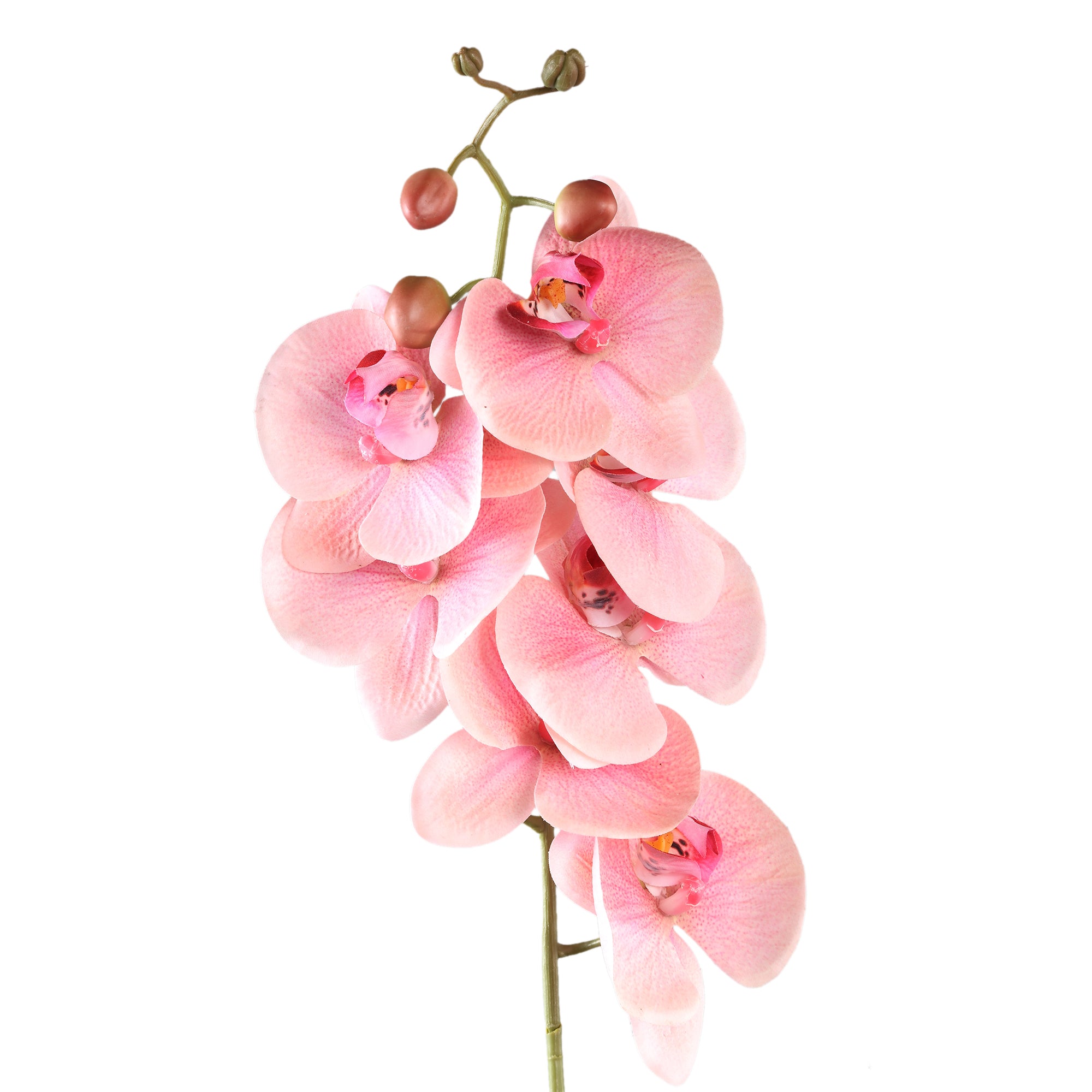 Orchid Flower light pink phalaenopsis spray Rose clair — Fleur artificielle — vue 2 | Häus