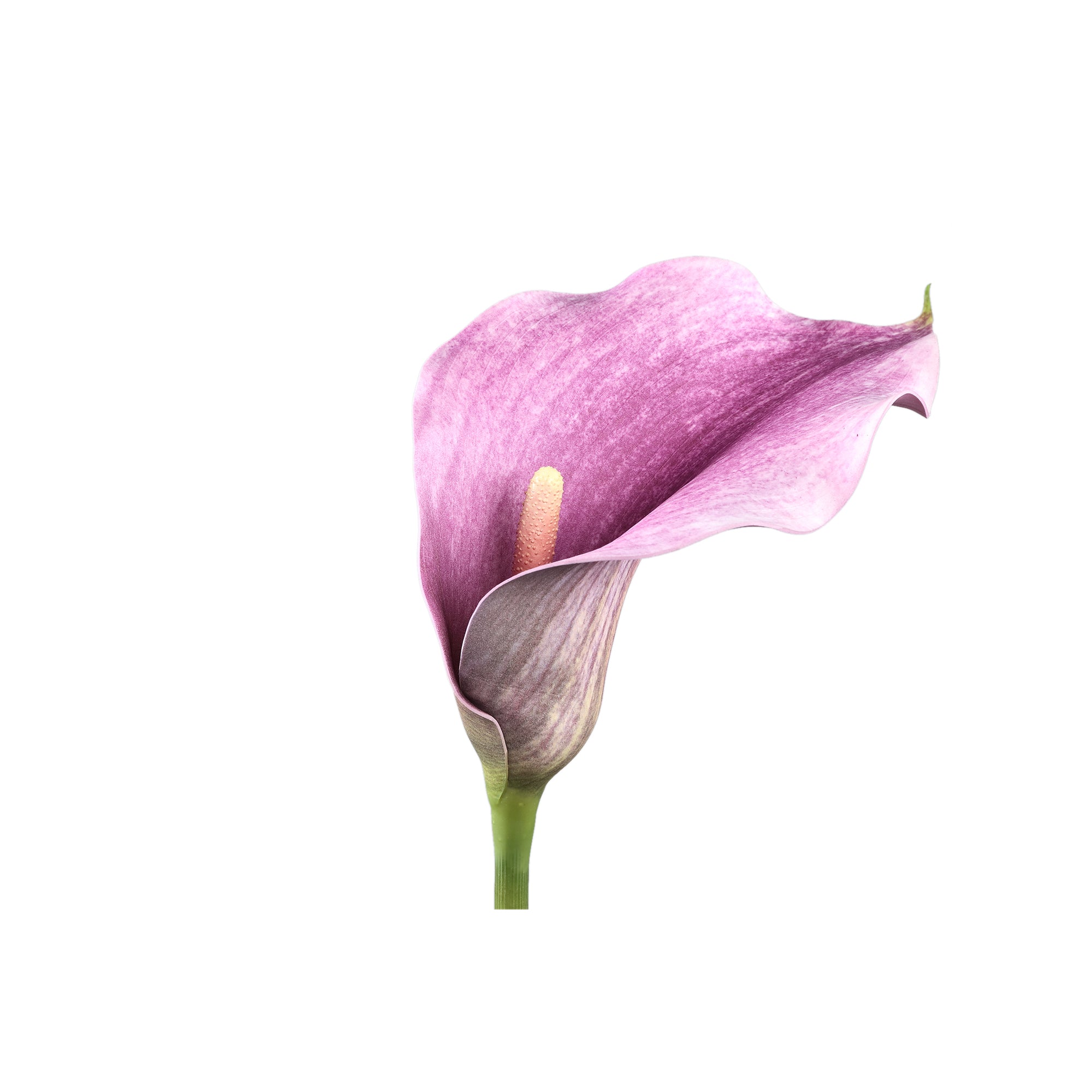 Lily Flower purple calla lily spray Violet — Fleur artificielle — vue 2 | Häus