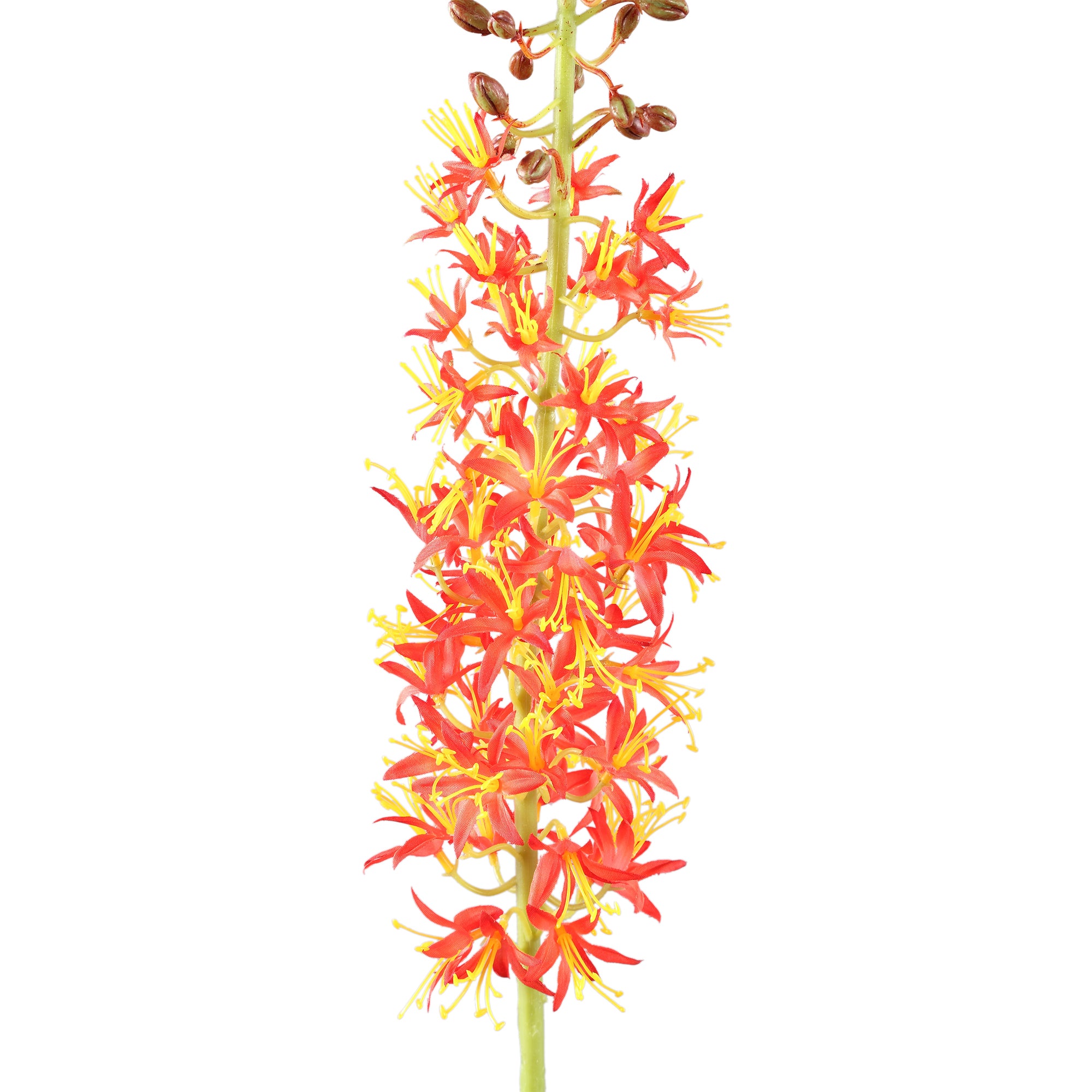 Twig Plant Orange green eremurus spray Orange — Branche artificielle — vue 2 | Häus