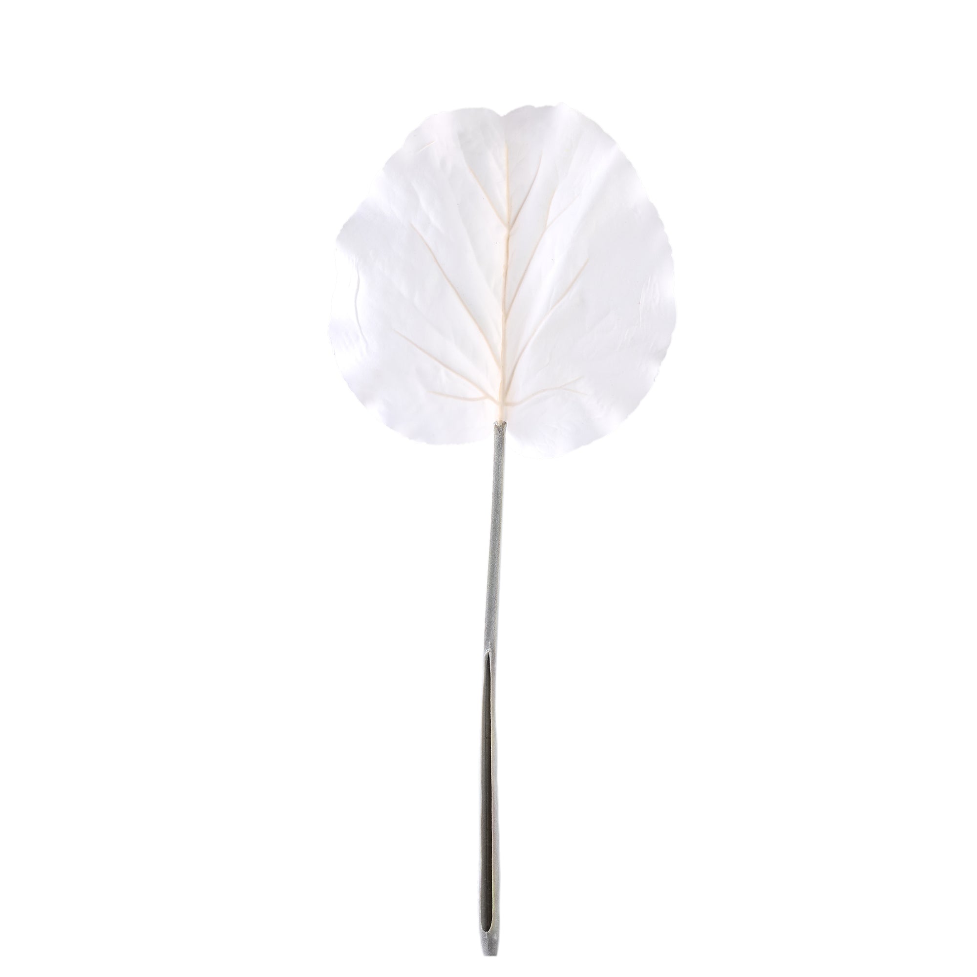 Leaves Plant Cream flocked galax leave Crème — Feuille artificielle — Feuille artificielle design premium | Häus