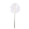 Leaves Plant Cream flocked galax leave Crème — Feuille artificielle — Feuille artificielle design premium | Häus