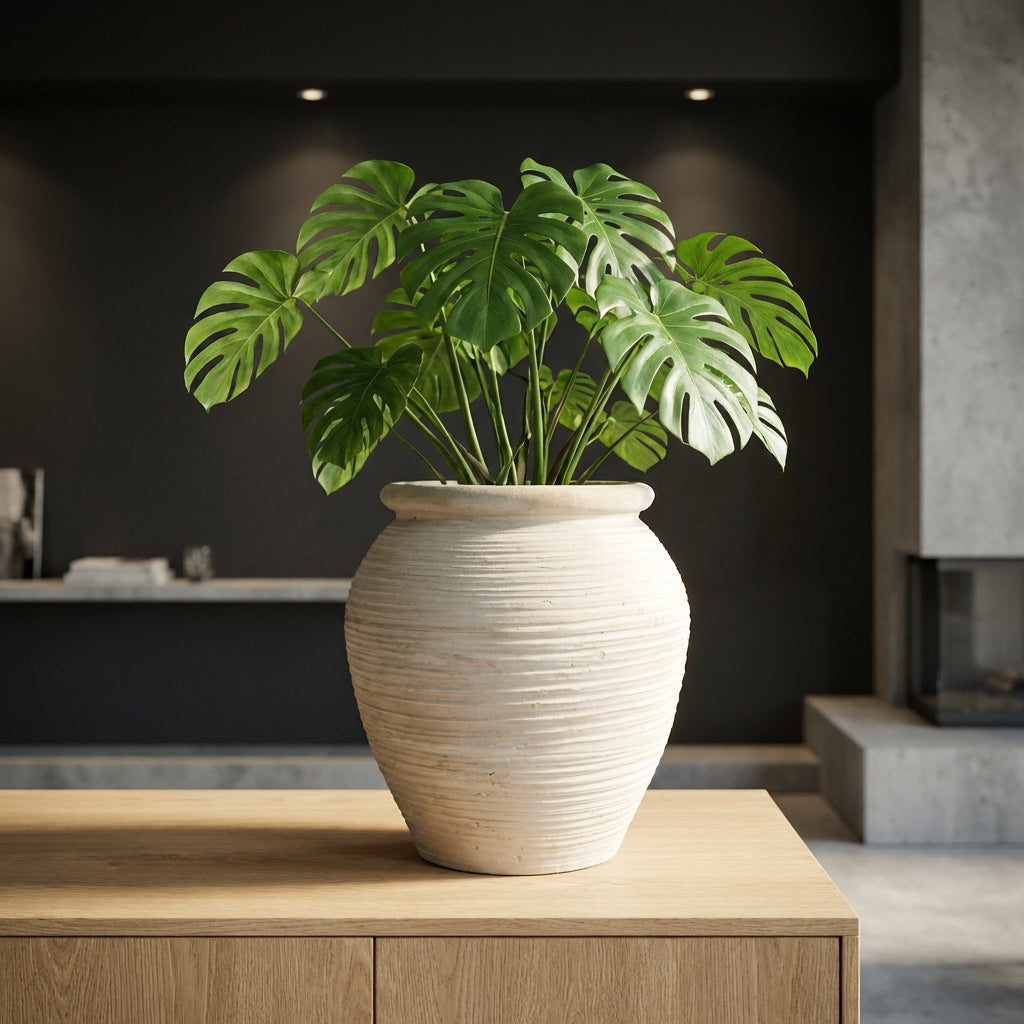 Bain Pot en céramique - Default Title