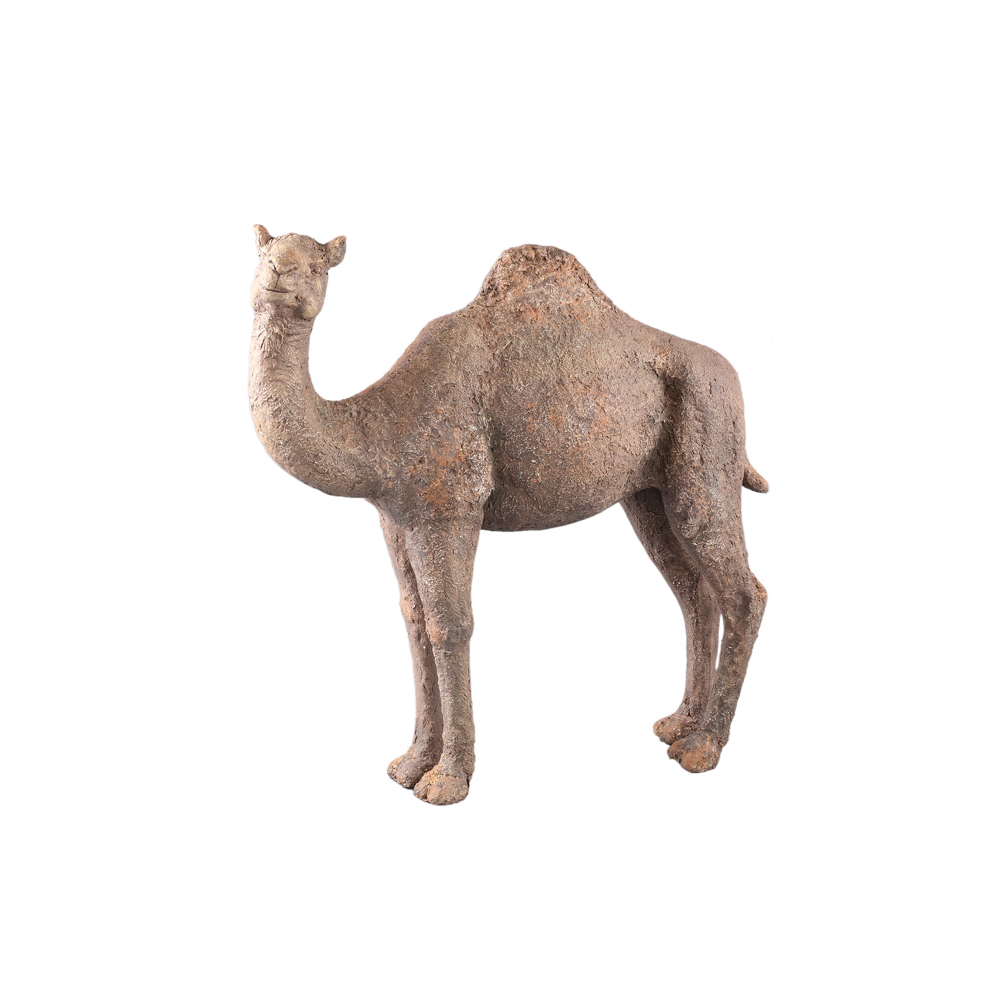 Amaleah Brown magnesia dromedary statue