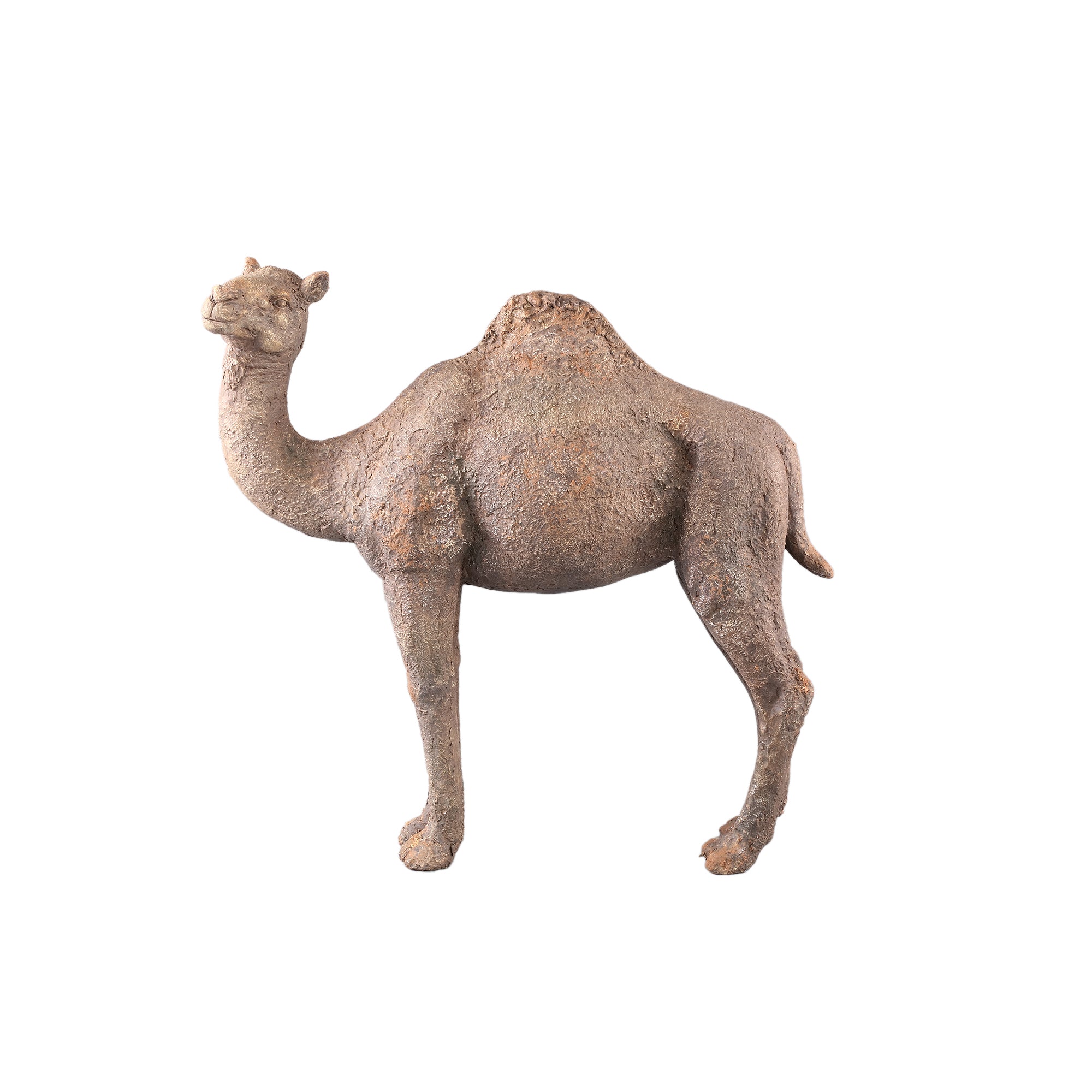 Amaleah Brown magnesia dromedary statue