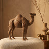 Amaleah Brown magnesia dromedary statue