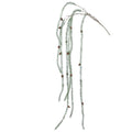 Branche artificielle Twig — Vert