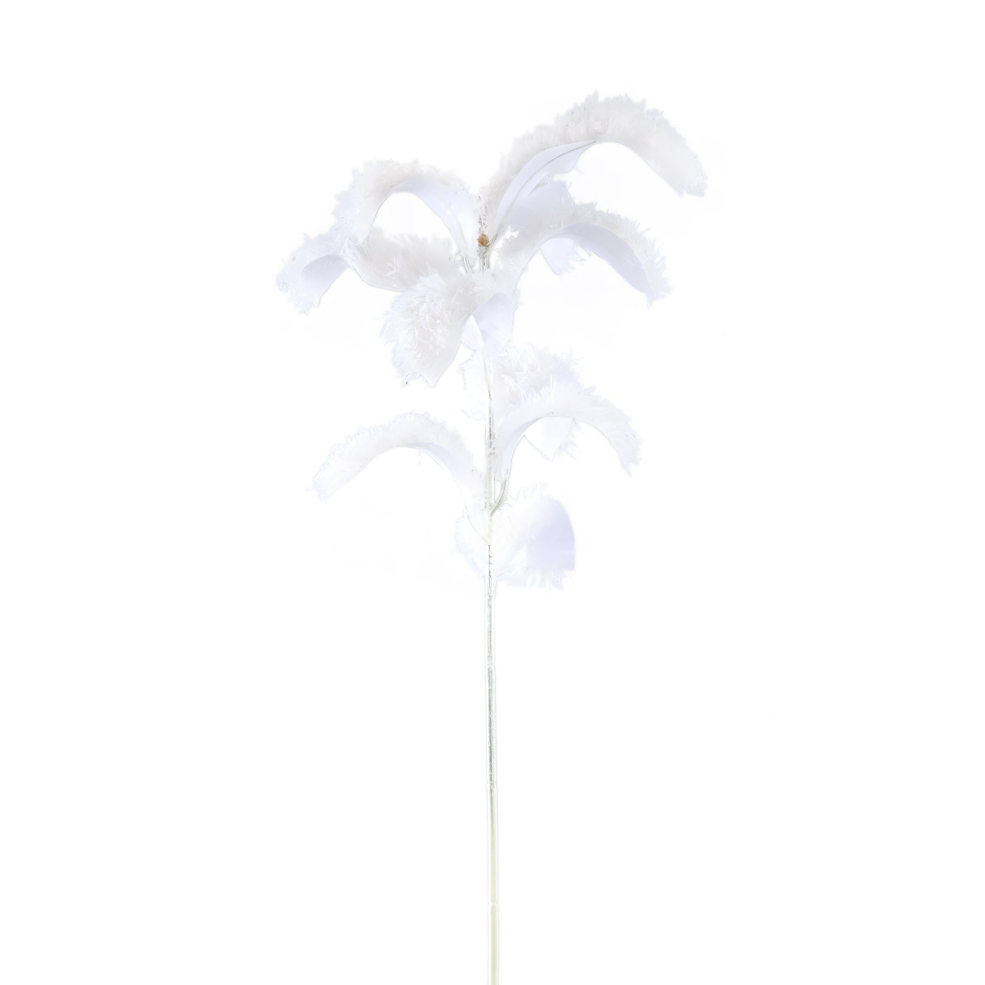 Leaves Plant White magnolia leaf spray hairy Blanc — Feuille artificielle — Feuille artificielle design premium | Häus