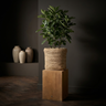 Pot Ricci — Ciment — Photo lifestyle