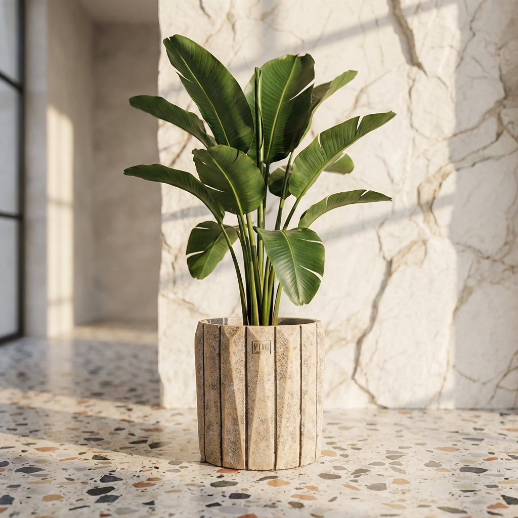 Imani Pot en ciment - S (30x30x30 cm)