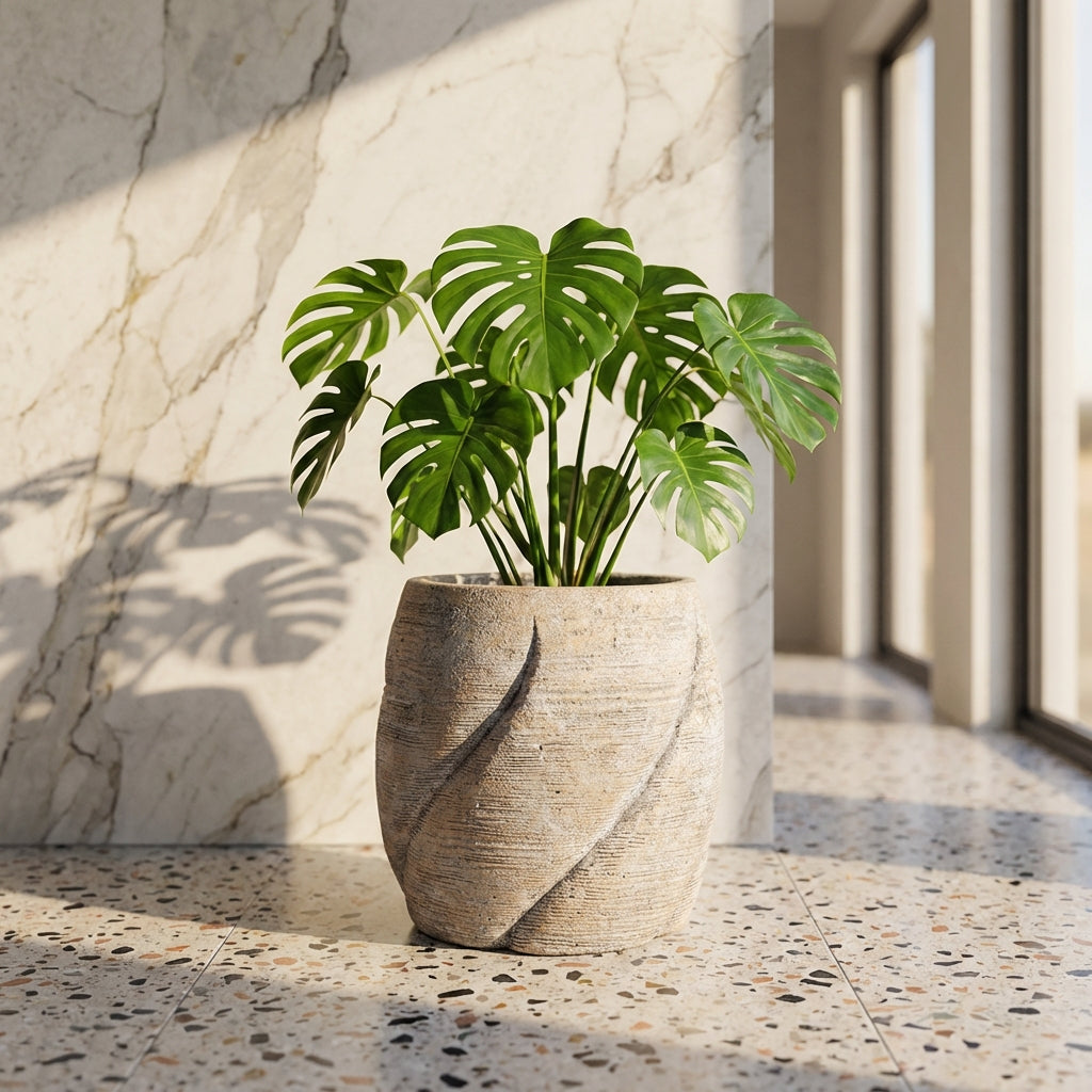 Evanthia Pot en ciment - M (30x30x30 cm)