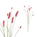 Branche artificielle Rose — Rose