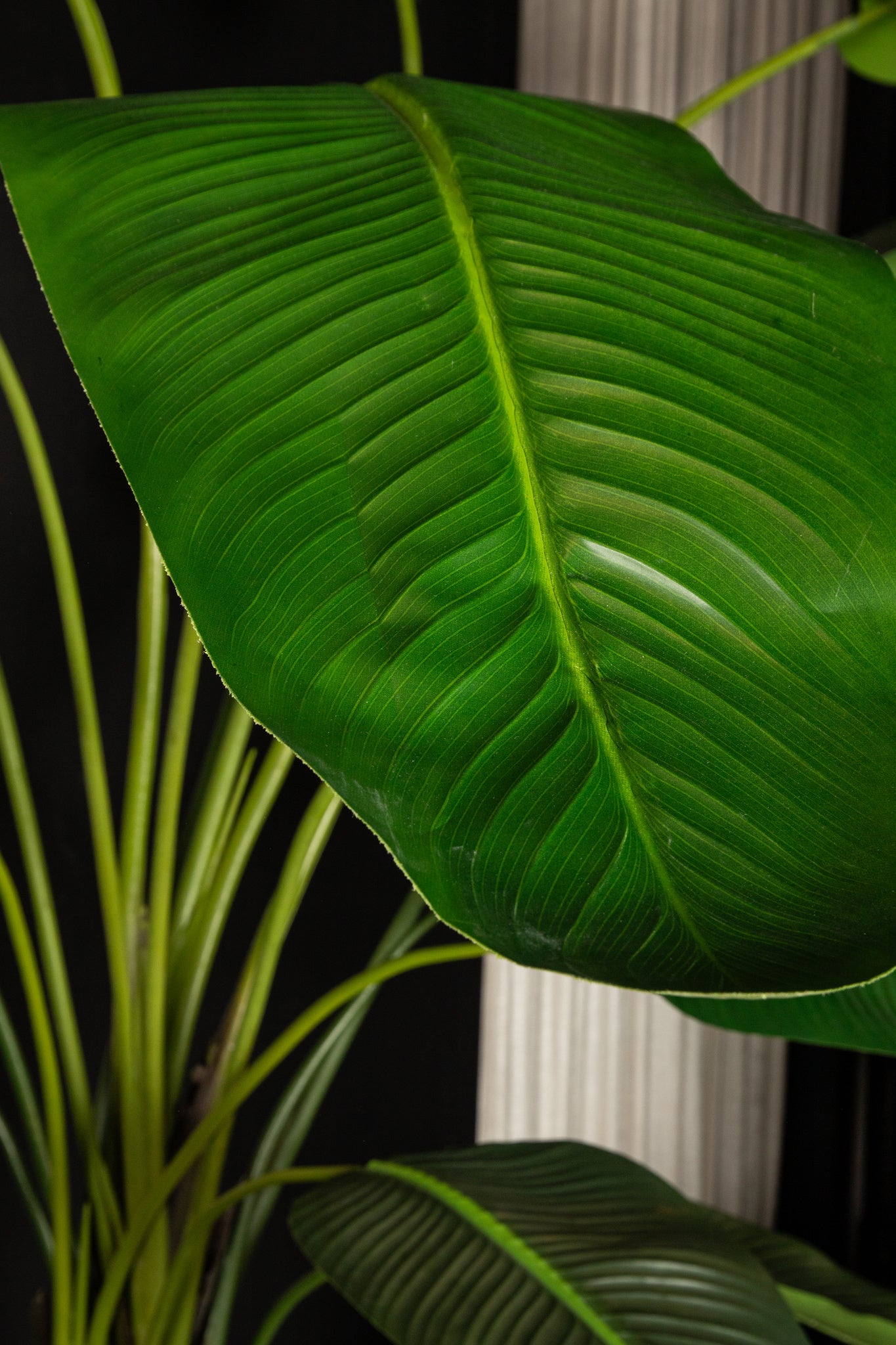 Leaves Plant Green PE real touch strelitzia XL Vert — Plante artificielle — vue 2 | Häus