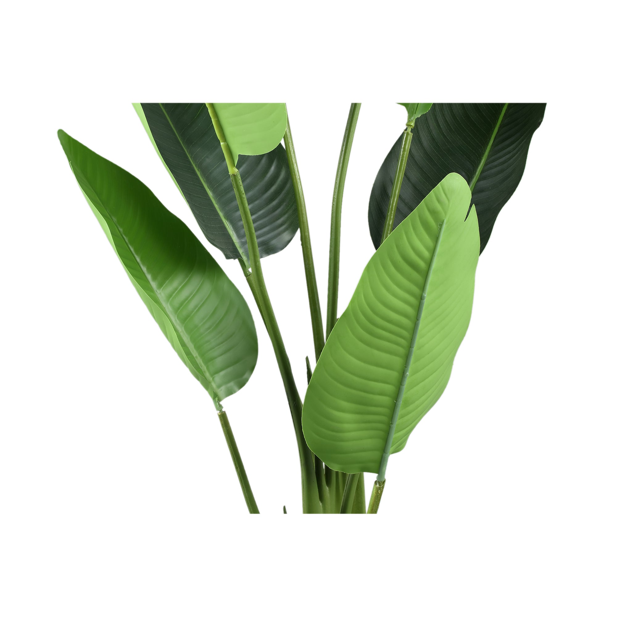 Leaves Plant Green PE real touch strelitzia S Vert — Plante artificielle — vue 2 | Häus