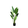Leaves Plant Green PE real touch strelitzia S Vert — Plante artificielle — Plante artificielle design premium | Häus