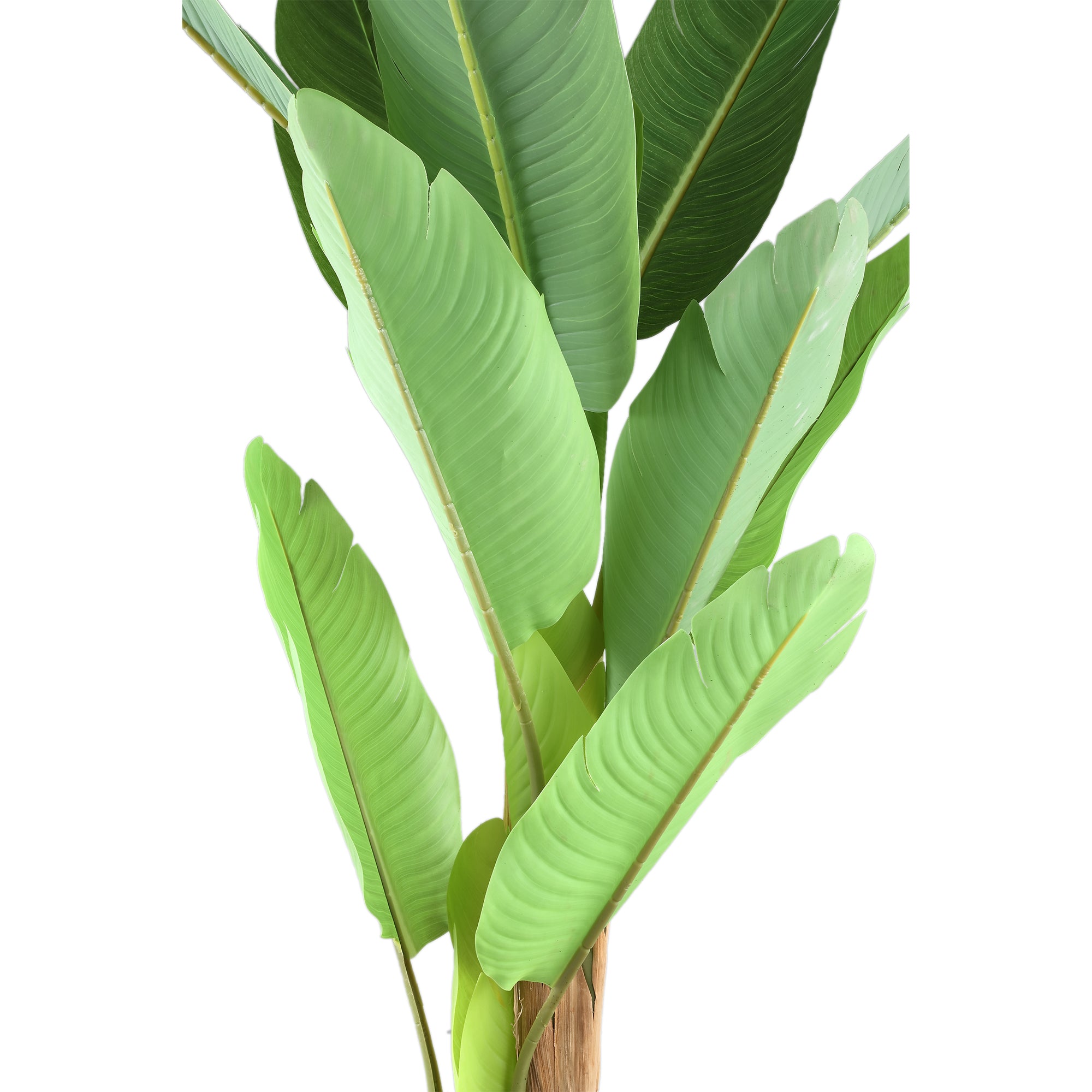 Tree Green PE real touch banana tree S Vert — Plante artificielle — vue 3 | Häus