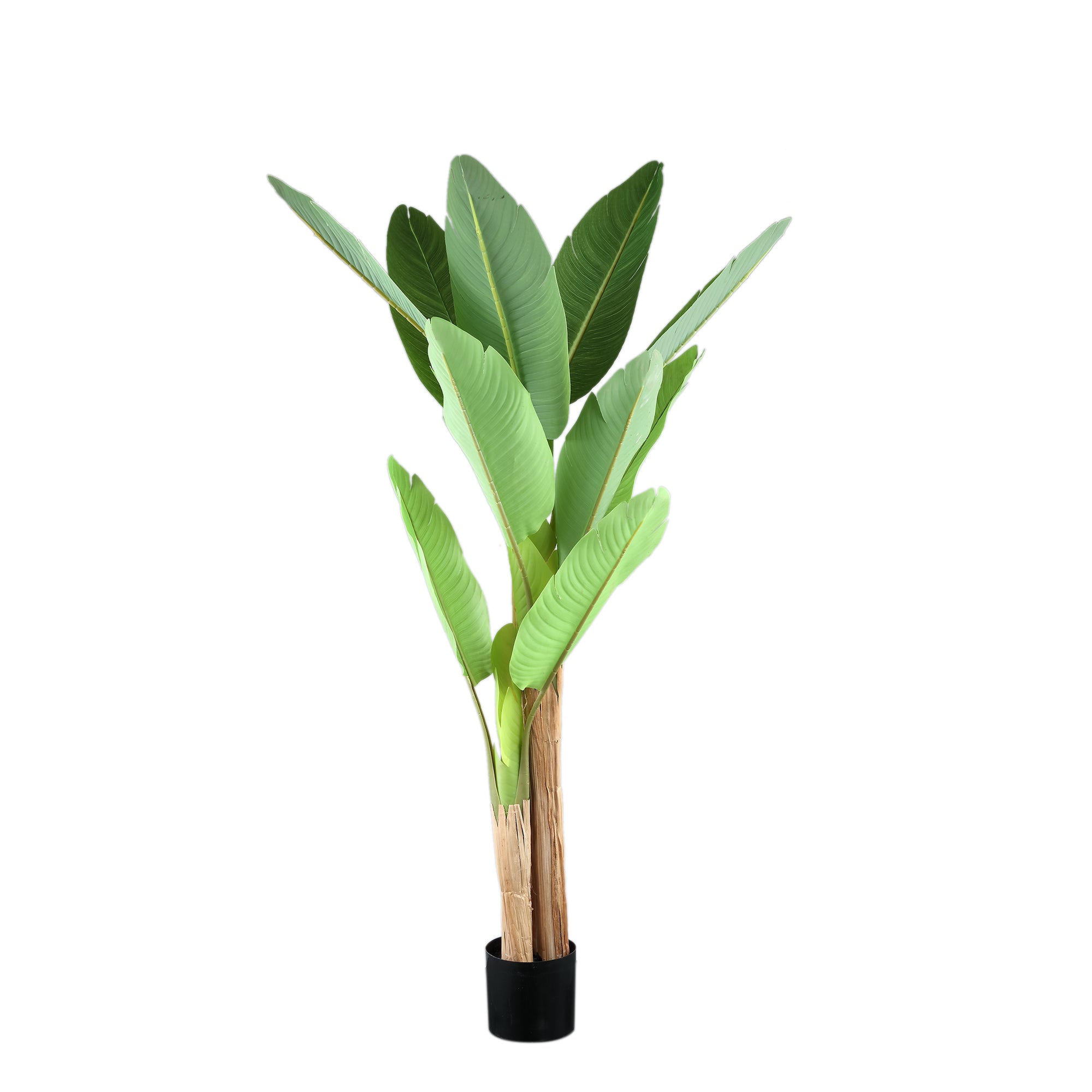 Tree Green PE real touch banana tree S Vert — Plante artificielle — Plante artificielle design premium | Häus