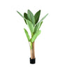 Tree Green PE real touch banana tree S Vert — Plante artificielle — Plante artificielle design premium | Häus