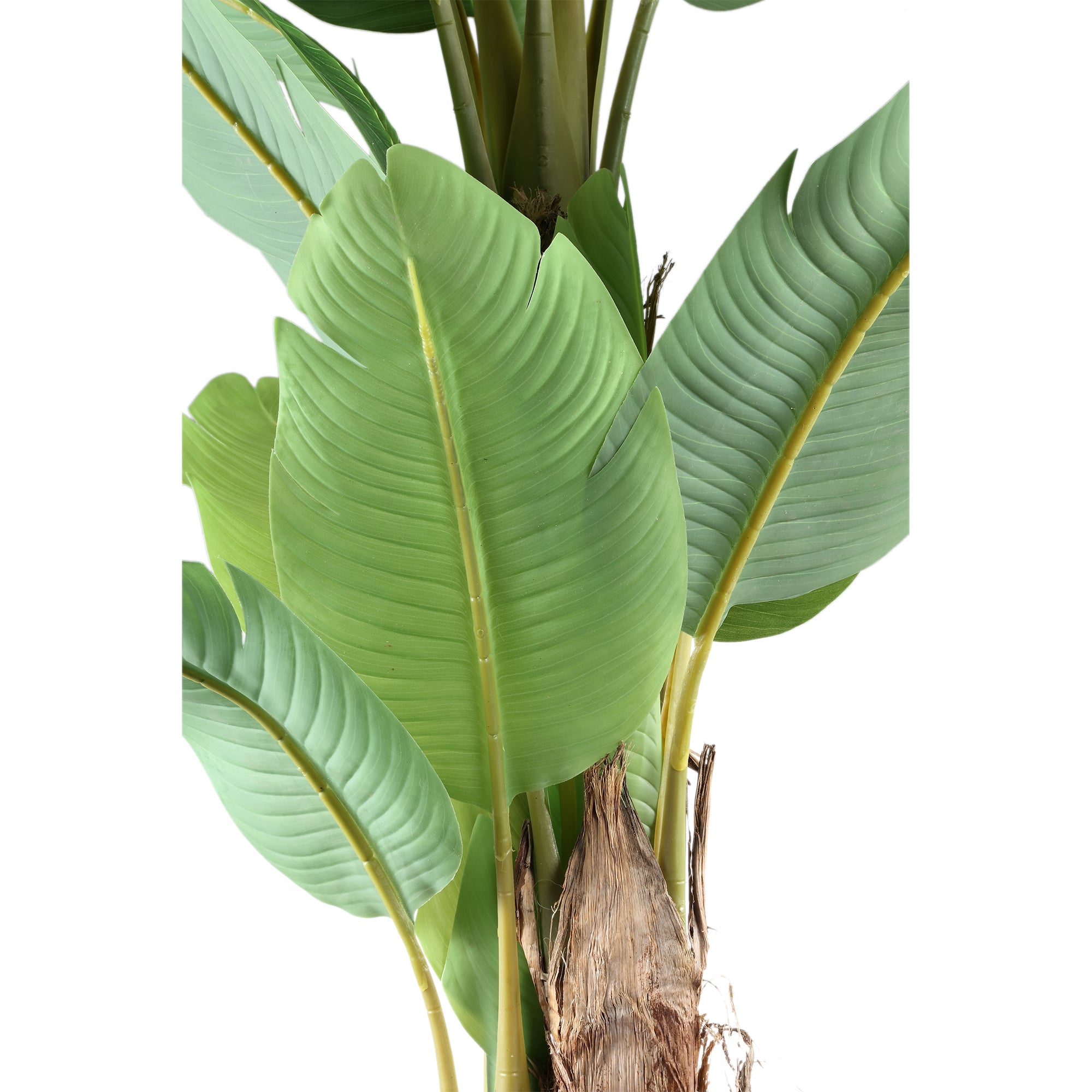 Tree Green PE real touch banana tree M Vert — Plante artificielle — vue 2 | Häus