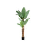 Tree Green PE real touch banana tree M Vert — Plante artificielle — Plante artificielle design premium | Häus