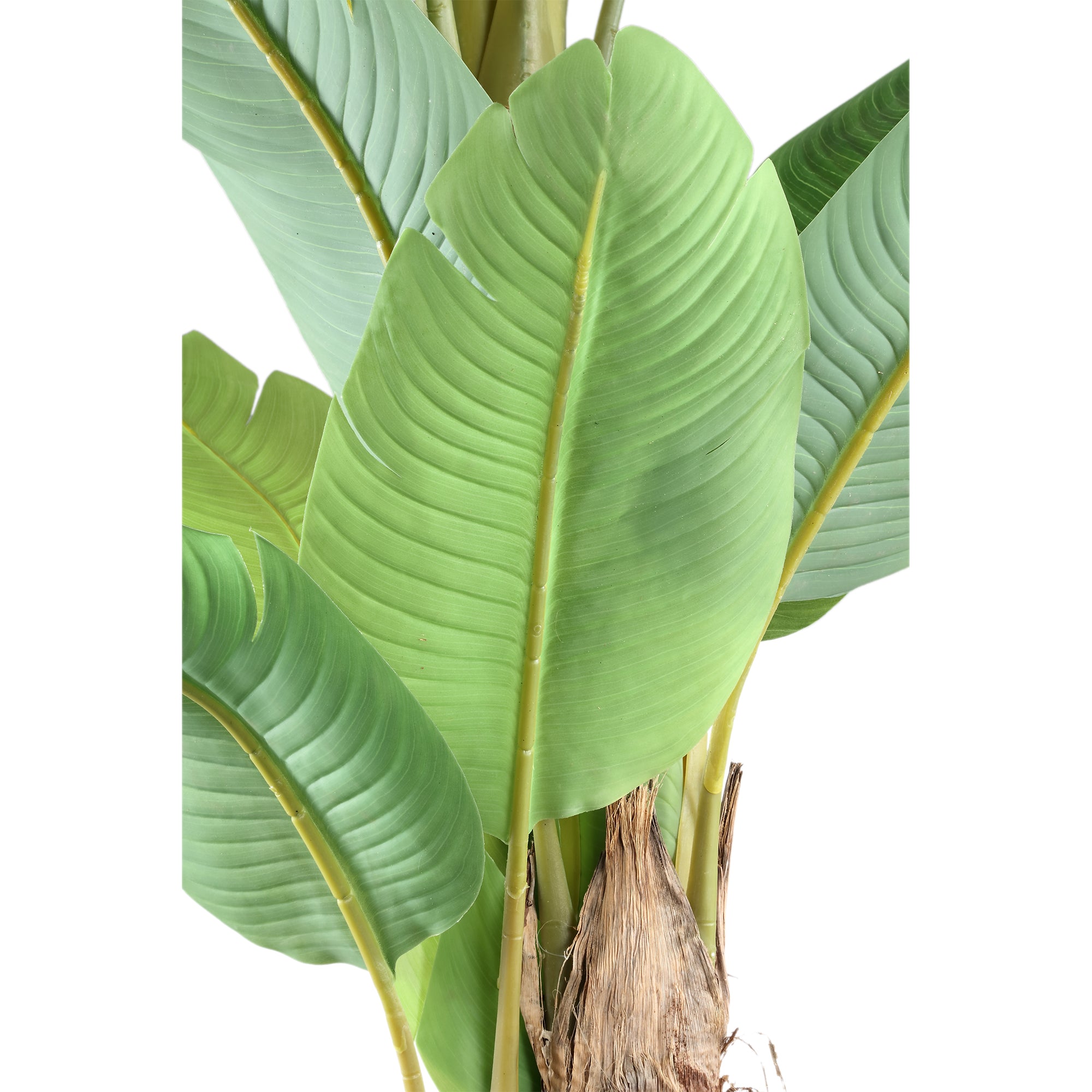 Tree Green PE real touch banana tree L Vert — Plante artificielle — vue 2 | Häus