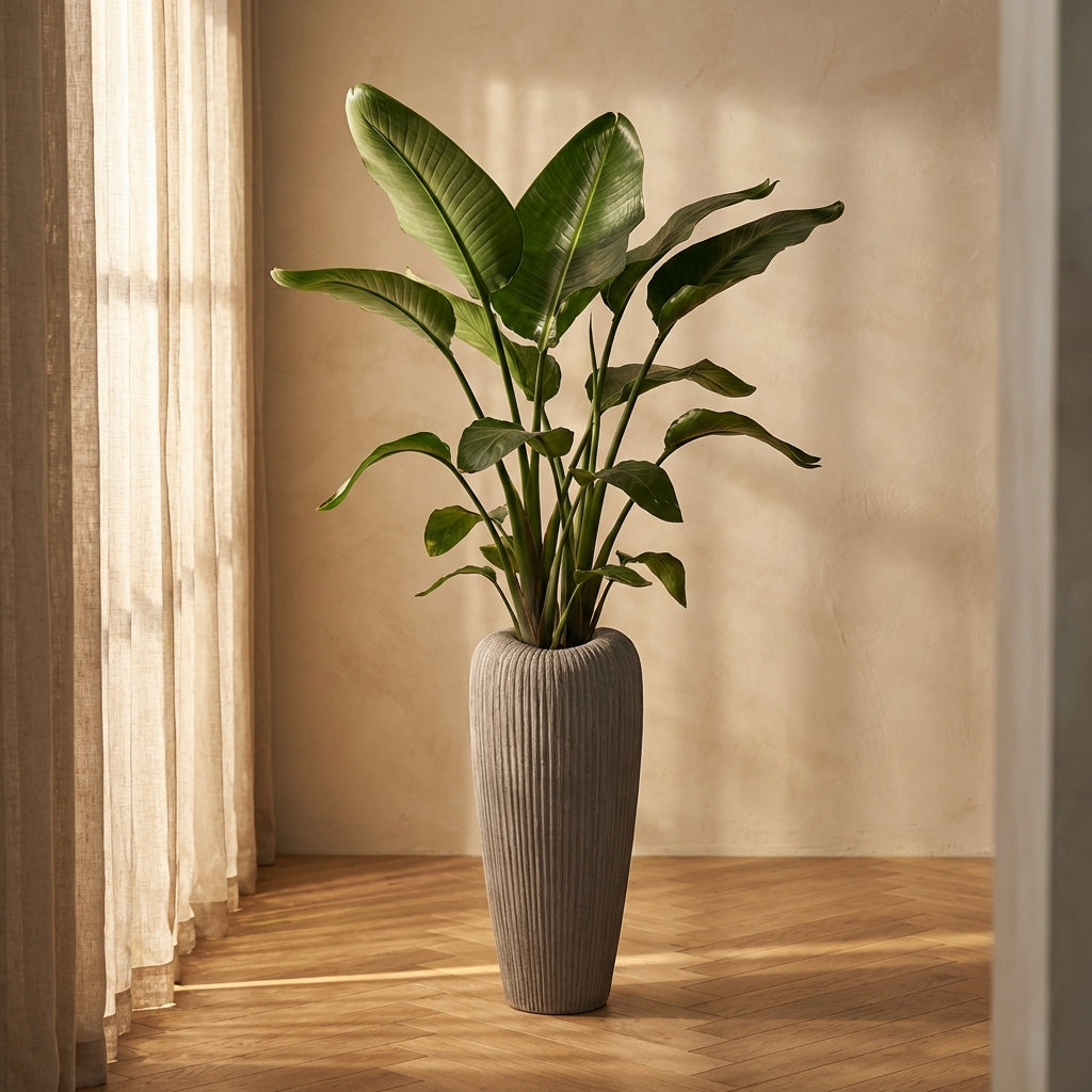 Zinet Pot en céramique - Vue 5