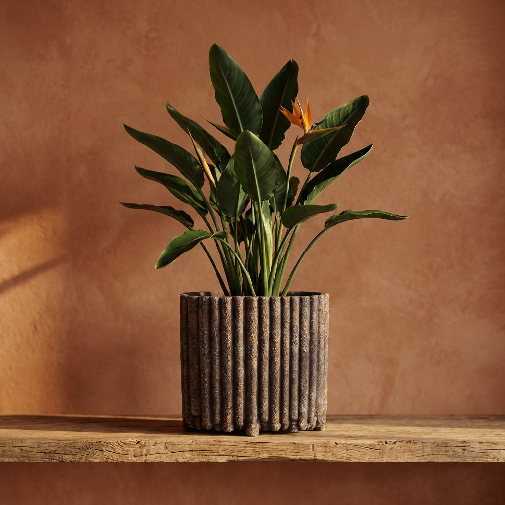 Morganne Pot en ciment - M (30x15x28 cm)