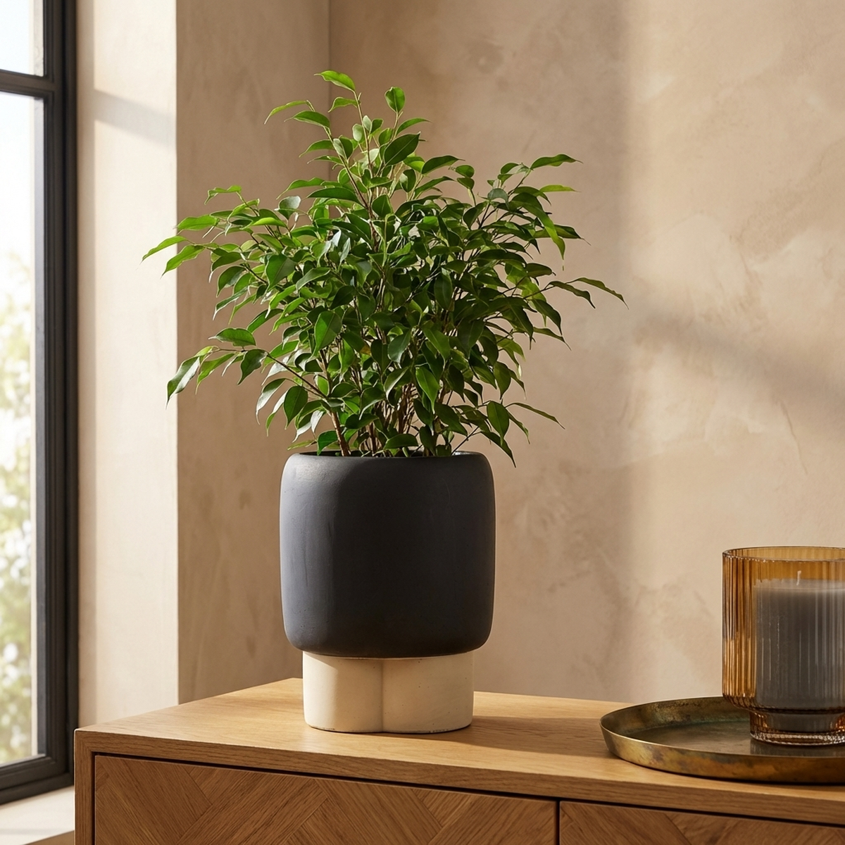 Pot Neasa — Ciment — Photo lifestyle