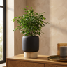 Pot Neasa — Ciment — Photo lifestyle