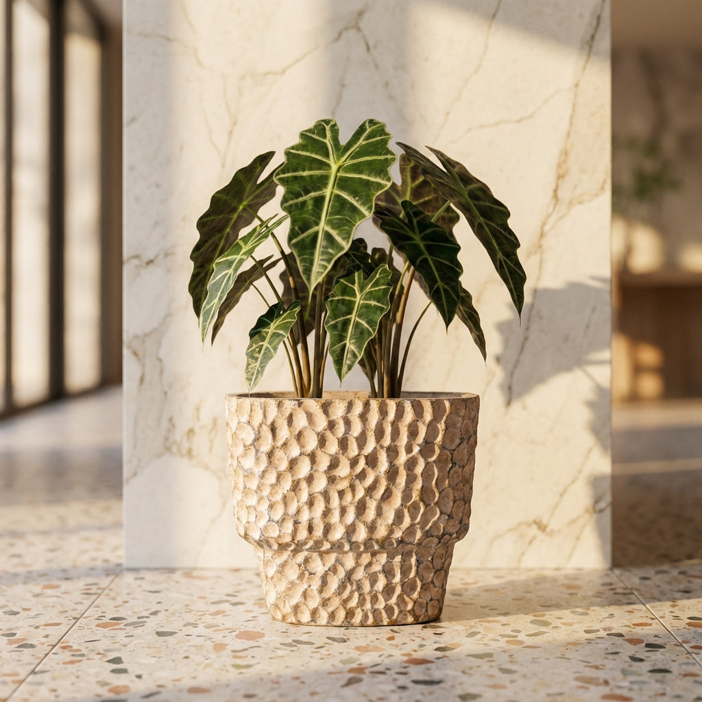 Liselot Pot en ciment - L (40x20x36 cm)