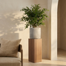 Pot Paizlie — en plastique — Photo lifestyle