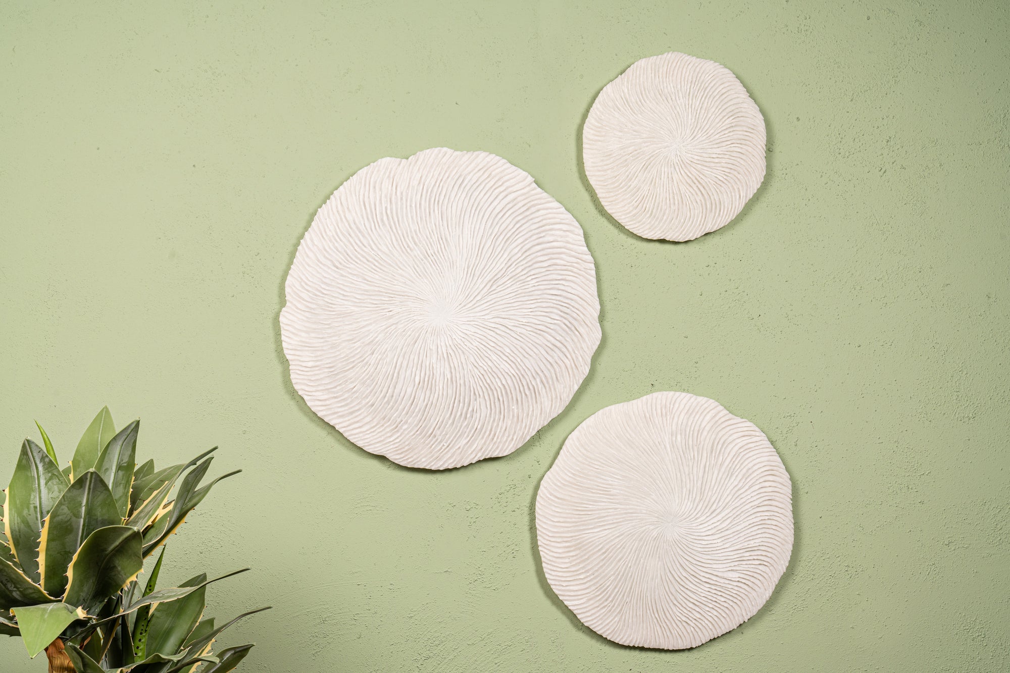 Kathelle White poly round coral shaped wallpanel S