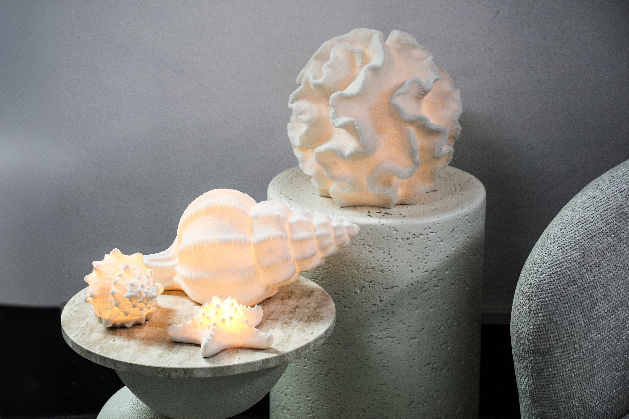 Graeme Lampes LED en poly — Sea Star Shaped Led Lamp - Blanc