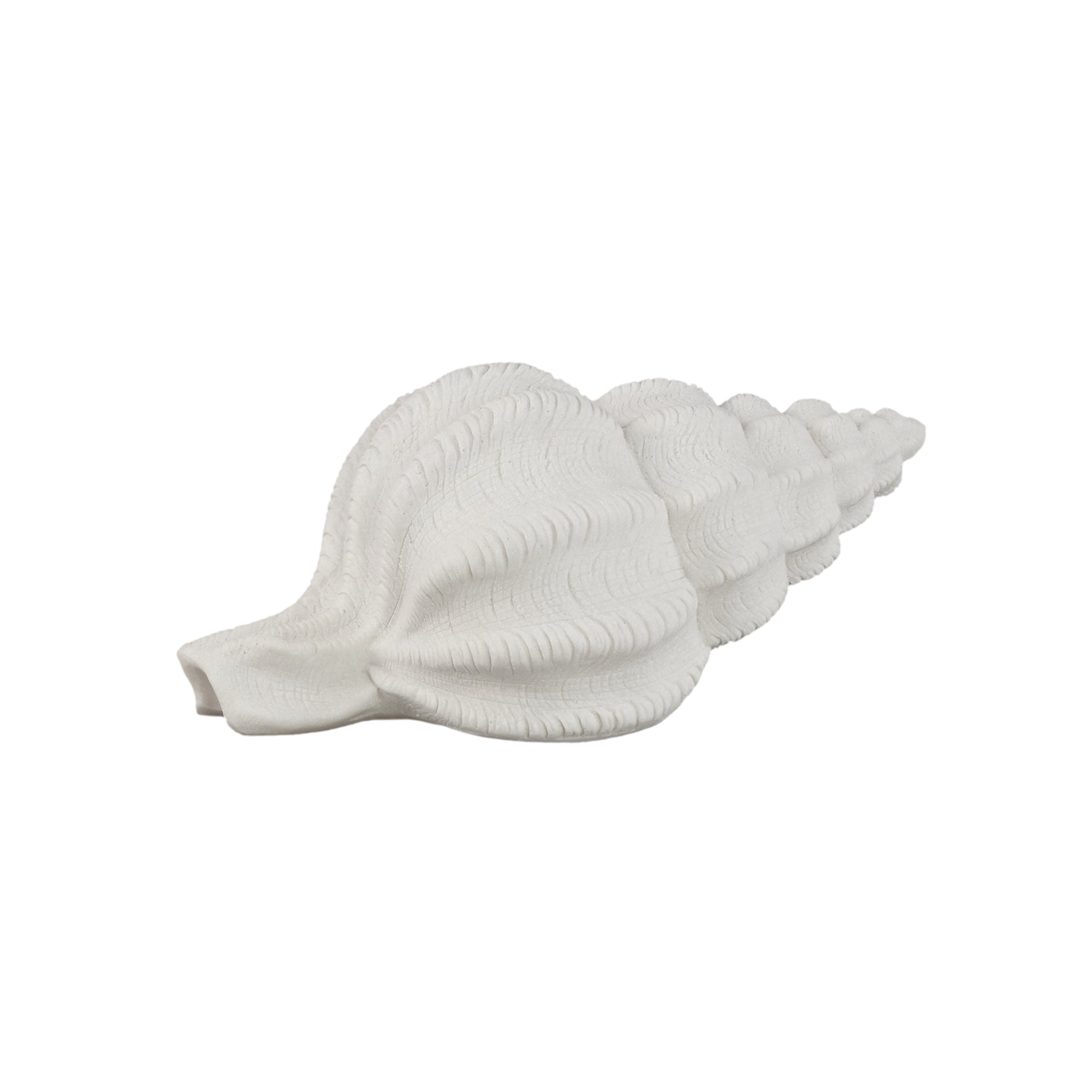 Graeme Lampes LED en poly — Shell Shaped Led Lamp Lines - Blanc