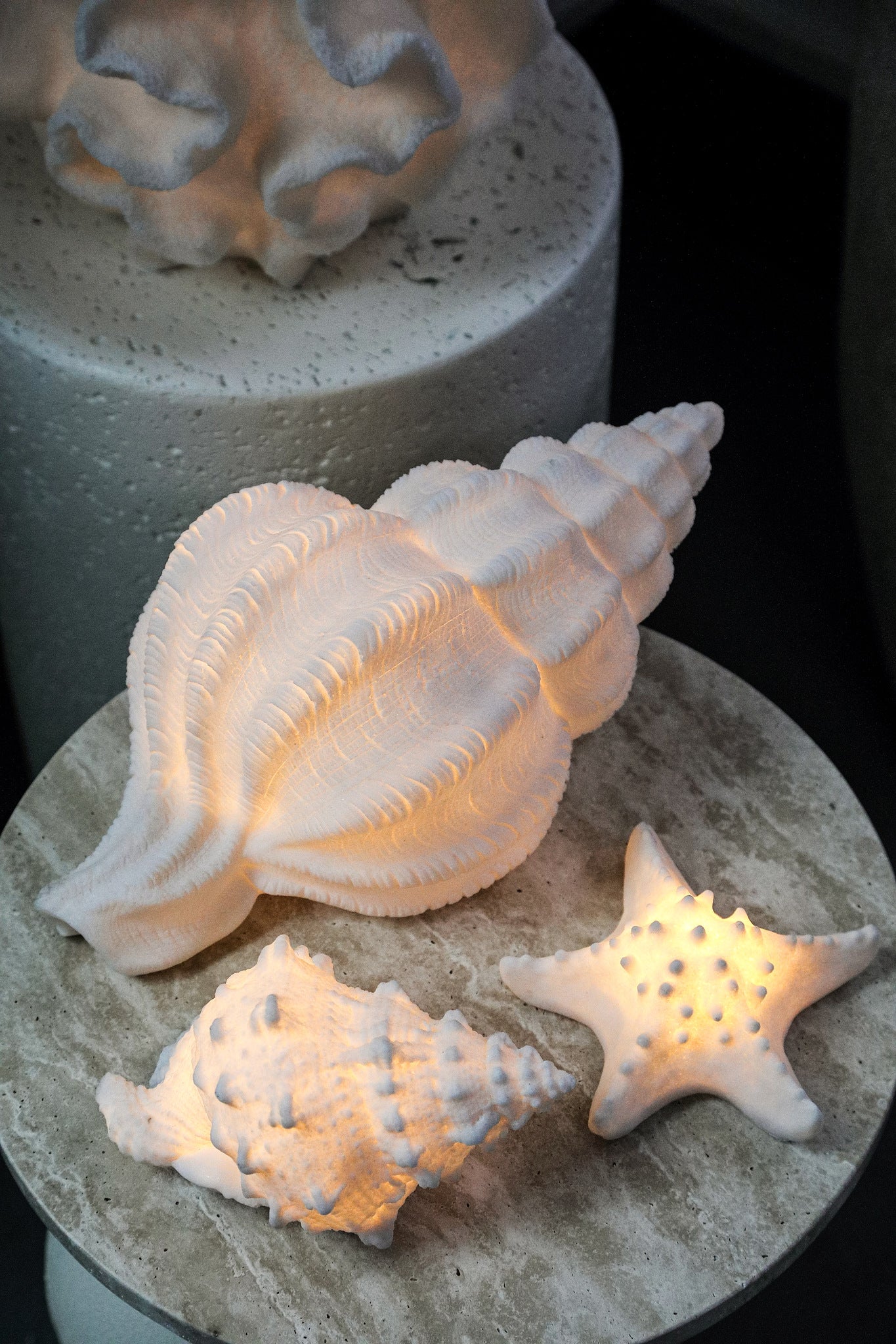 Graeme Lampes LED en poly — Sea Star Shaped Led Lamp - Blanc